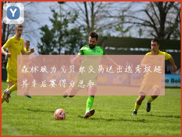 森林狼为戈贝尔交易送出选秀权超其季后赛得分总和
