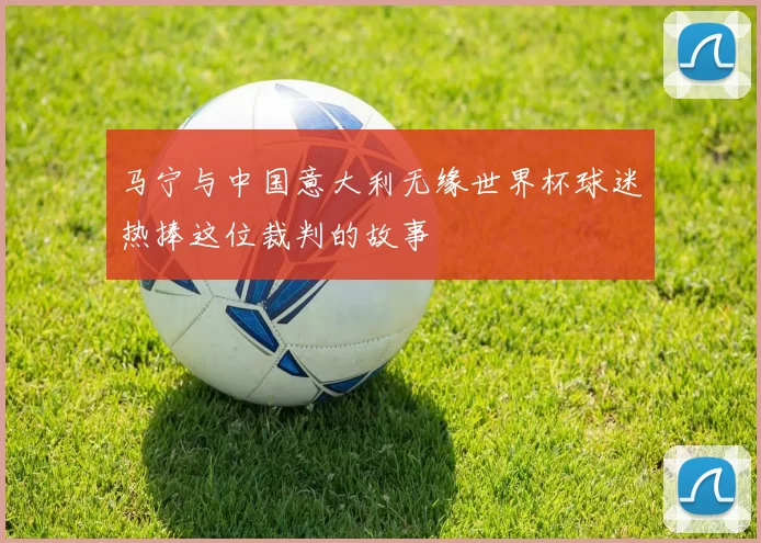 马宁与中国意大利无缘世界杯球迷热捧这位裁判的故事