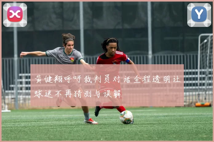 黄健翔呼吁裁判员对话全程透明让球迷不再猜测与误解